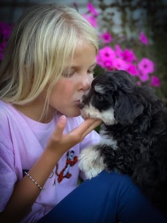 a puppy and a kid