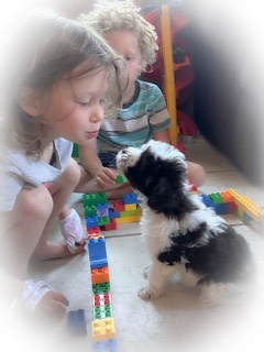 a puppy and a kids