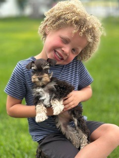 a puppy and a kid