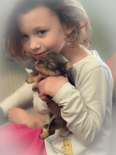 a puppy and a kid