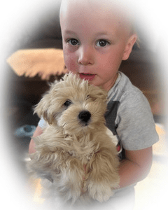 a puppy and a kid