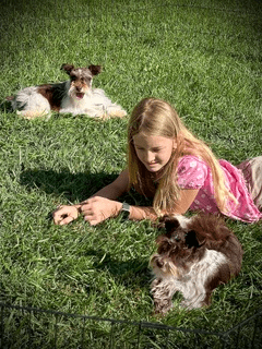 a puppy and a kid