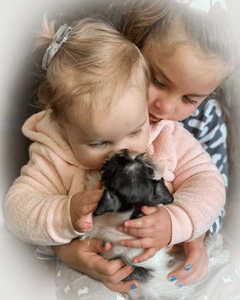 a puppy and a kid