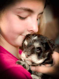 a puppy and a kid