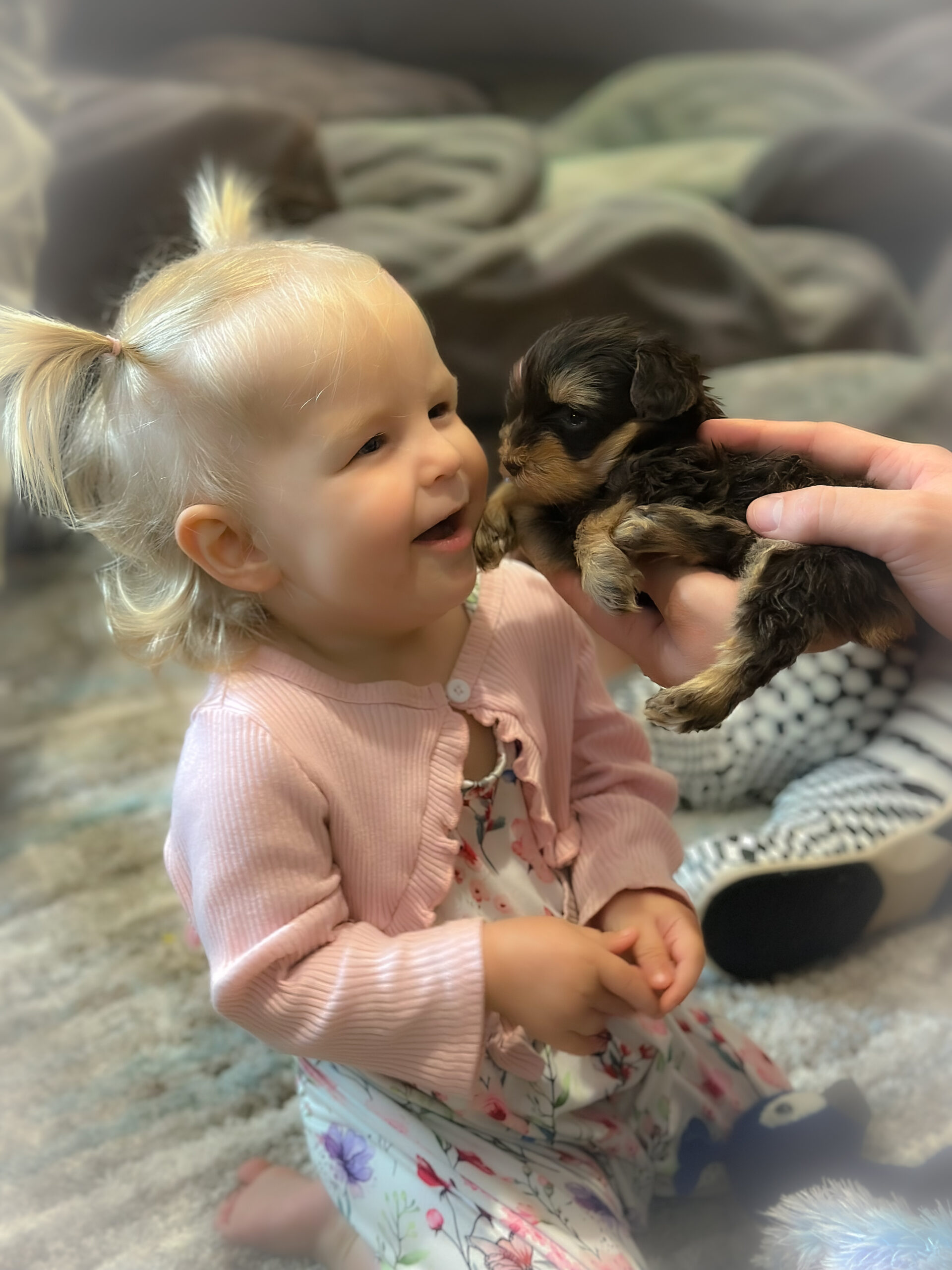 Toddler smiles at a tiny puppy being held by an adult, showcasing a heartwarming moment of connection and joy.