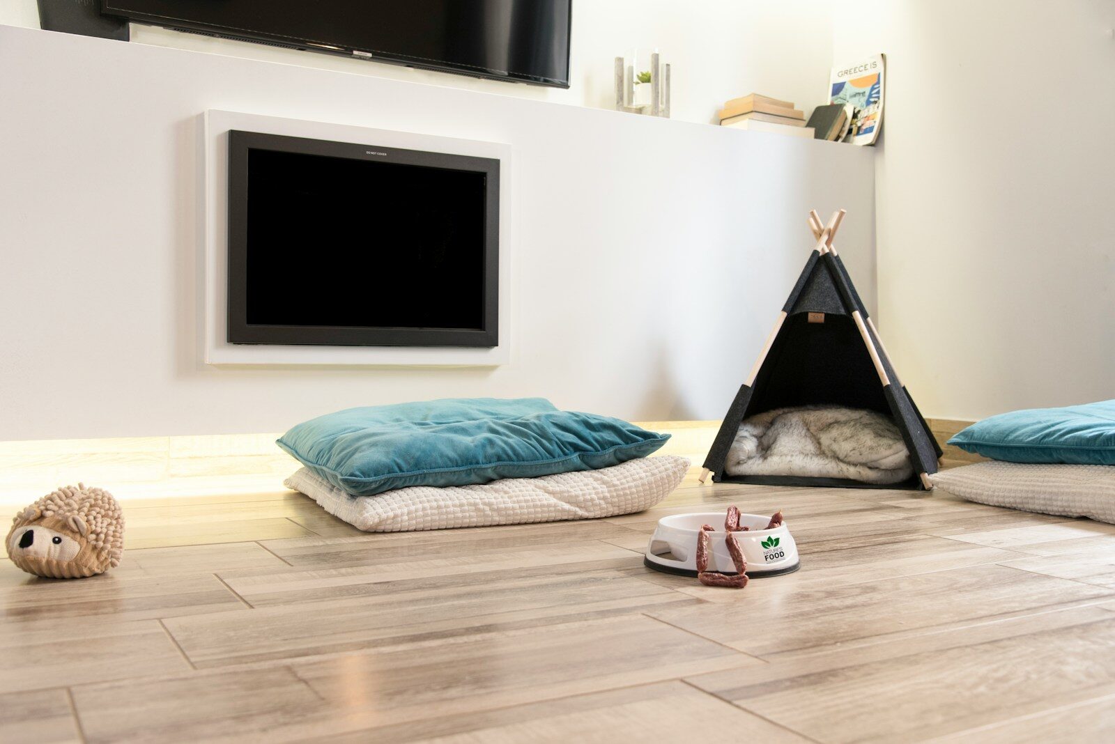 a room with a tv and pillows on the floor